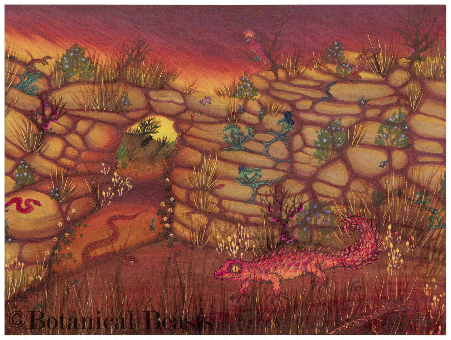 A scorpion-tailed gecko sits in the foreground of a glowing sunset in the outback of Australia. There are geckos, monitor lizards, snakes, and bugs climbing up the rock landscape. A dingo and a cockatiel gaze at the sunset.