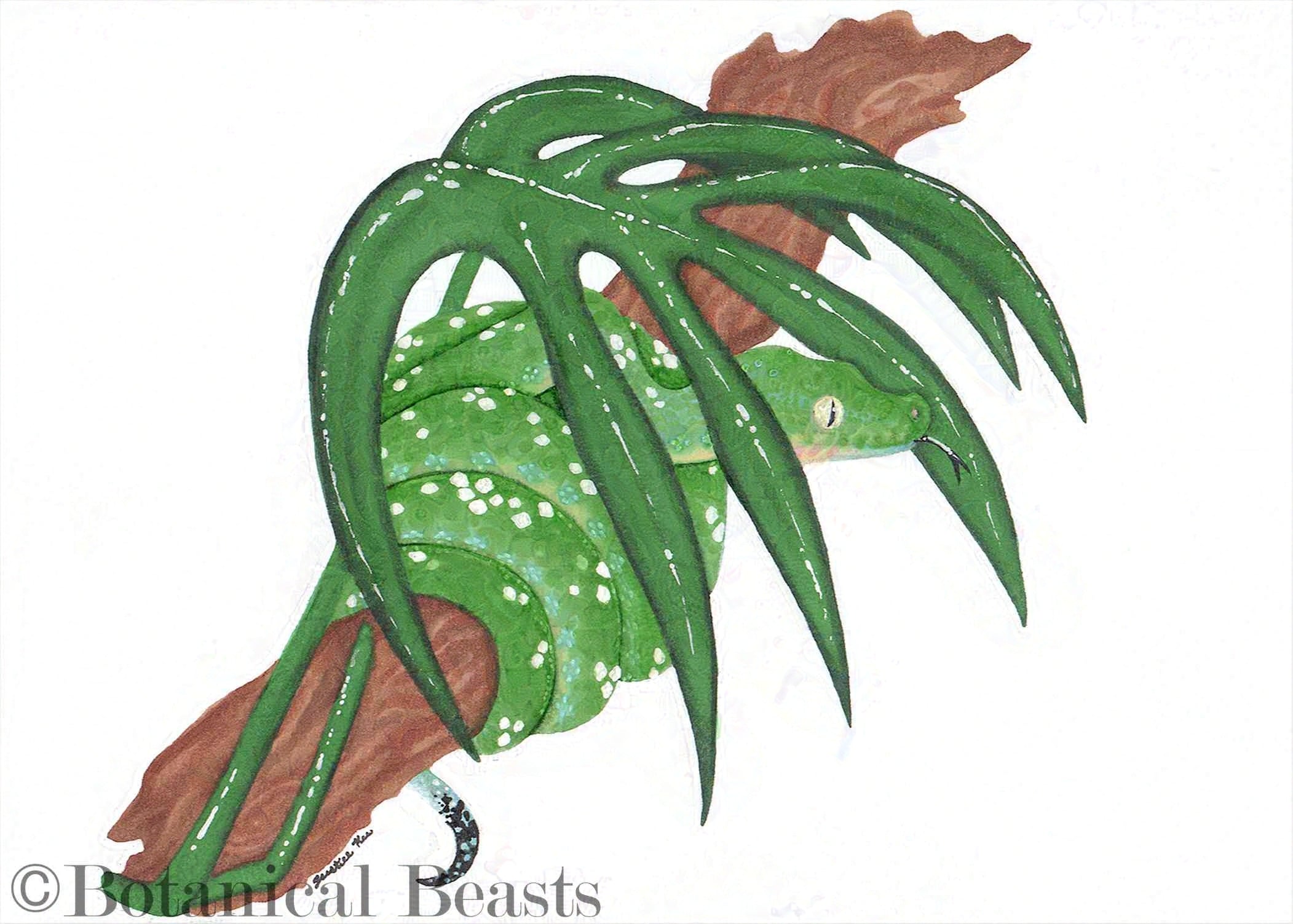 Aru Green Tree Python Print Botanical Beasts aru green tree python print botanical beasts