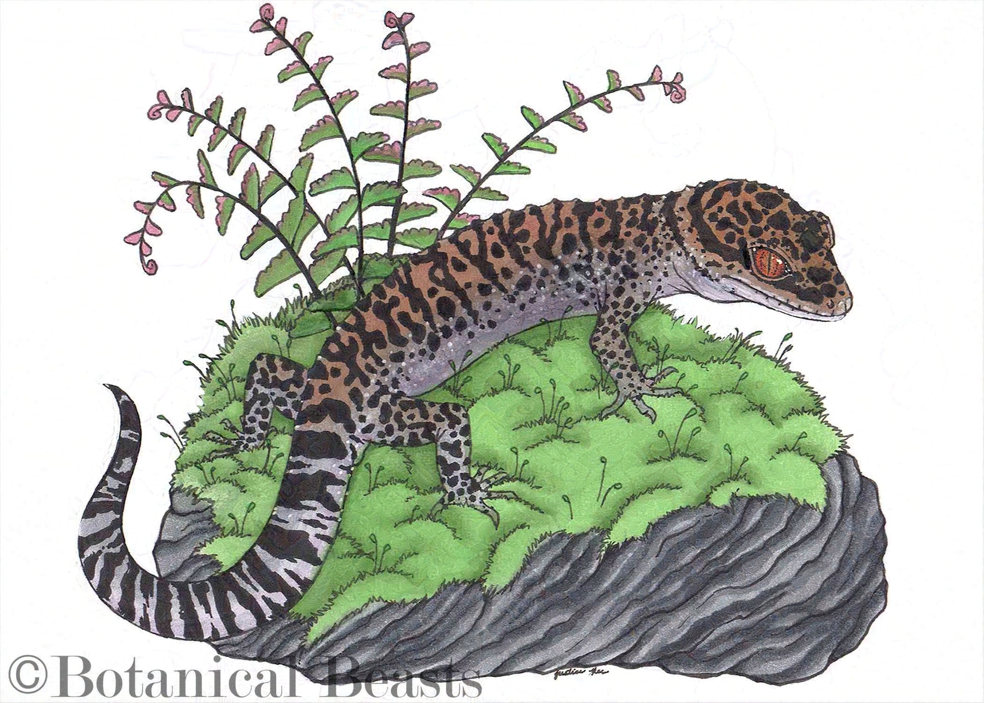 This cave gecko is perched atop a mossy rock with a maiden hair fern behind him. He has red eyes and leopard spots and stripes.