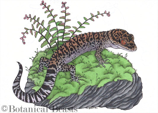 This cave gecko is perched atop a mossy rock with a maiden hair fern behind him. He has red eyes and leopard spots and stripes.