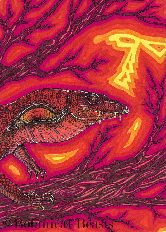 A Mangrove monitor vividly colored crimson. Modeled after hercules our pet lizard.