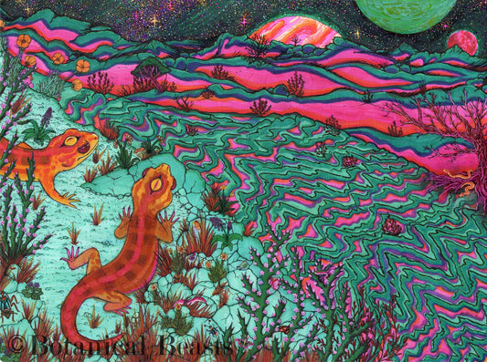 A pair of wonder geckos ponder over a psychedelic fielld of shifting sands. There are tiny creatures amongst the flowers and brush. The sky is full of stars and neon planets. 