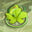 Botanical Beasts logo