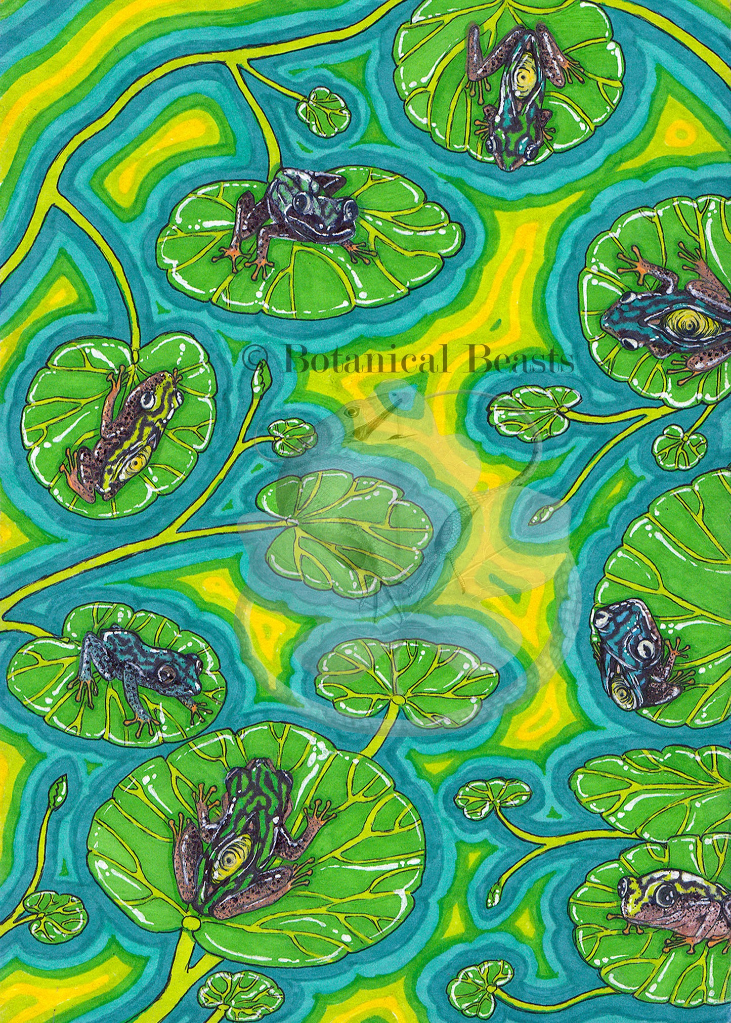 Psychedelic Madagascan reed frogs fine art print