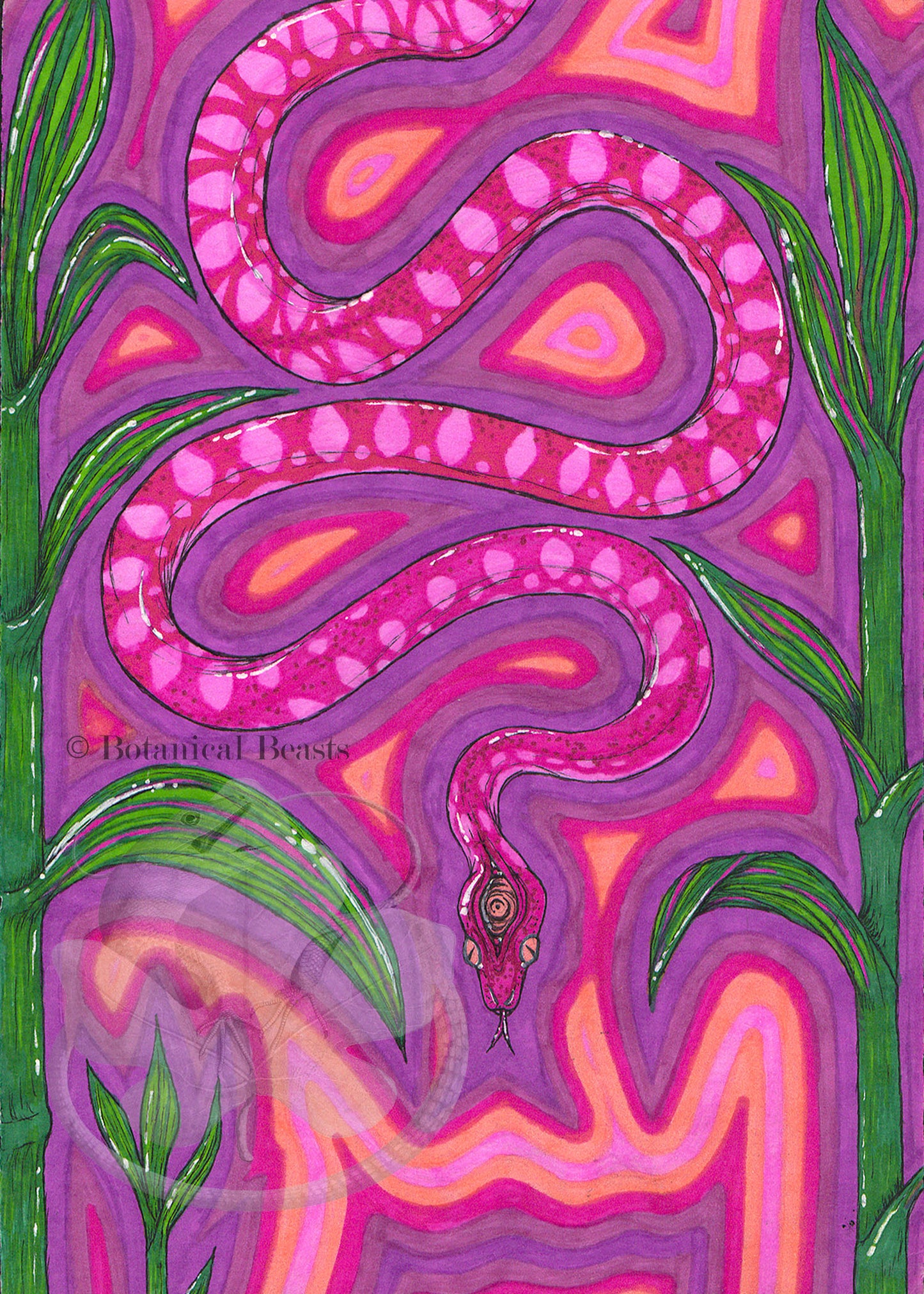 Psychedelic Amazon tree boa fine art print