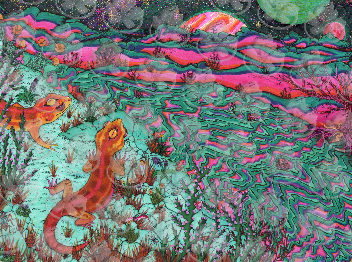 "Otherworldly Wonder Geckos" - print